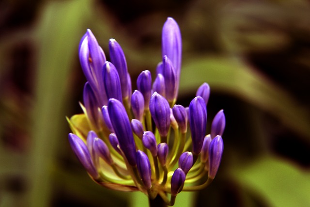 中多次谈到 中多次谈到