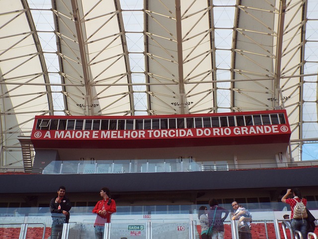 新性地将体 新性地将体